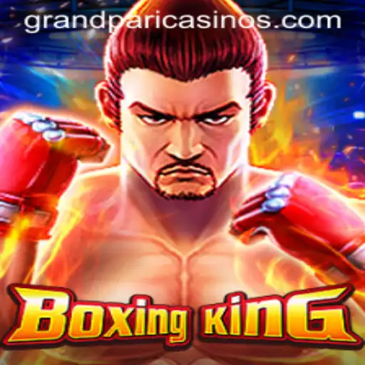 The Thrilling World of BoxingKing